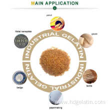 industrial used Bone Glue Gelatin